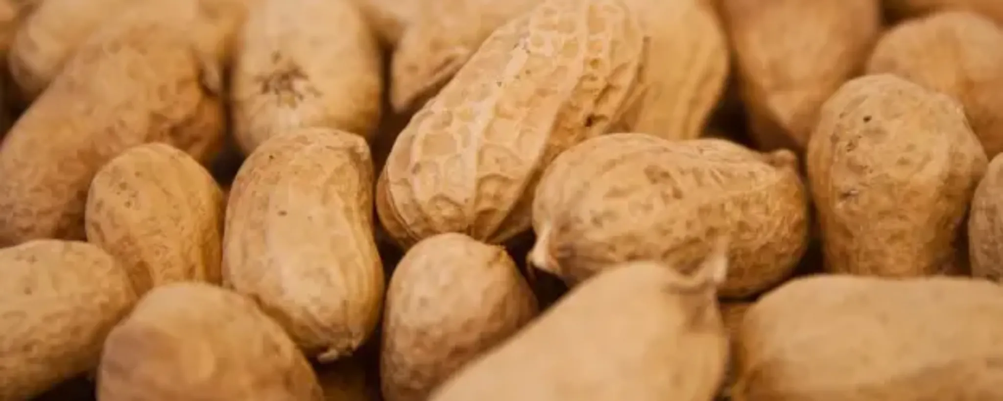 Cacahuetes